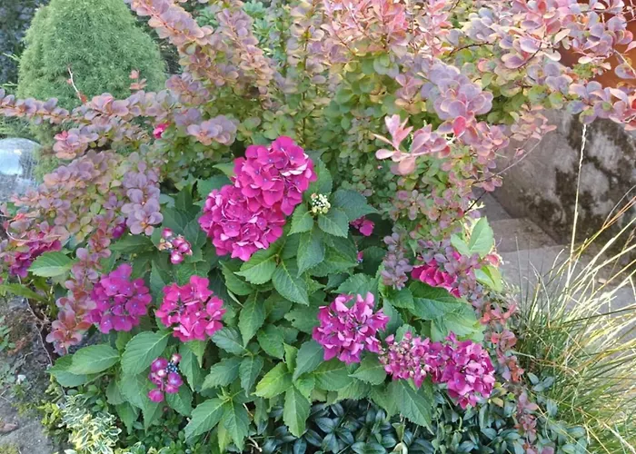 דירה Beskidzki Zakatek *